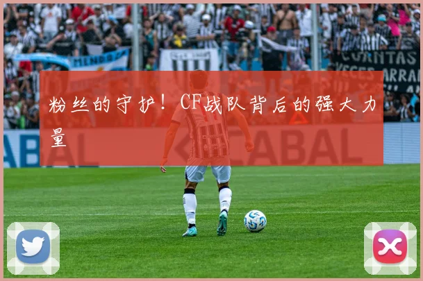 粉丝的守护！CF战队背后的强大力量