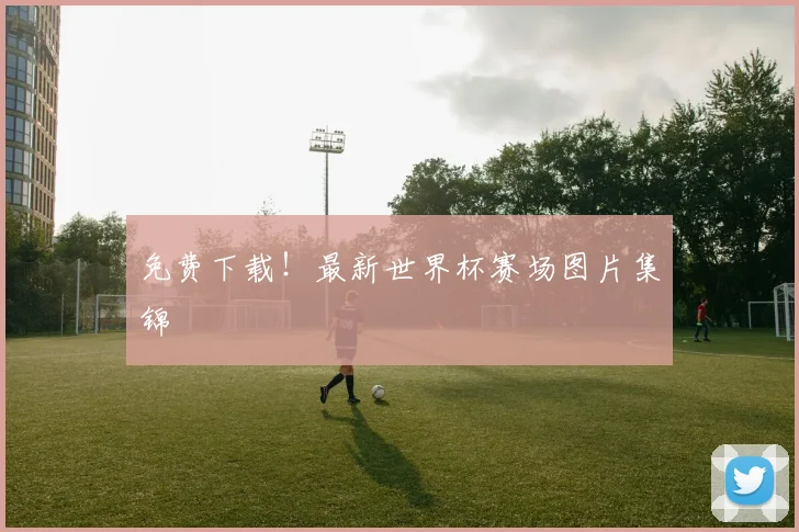 免费下载!最新世界杯赛场图片集锦
