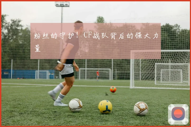 粉丝的守护！CF战队背后的强大力量