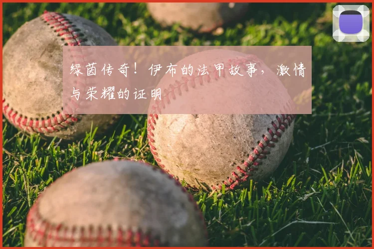 绿茵传奇！伊布的法甲故事，激情与荣耀的证明